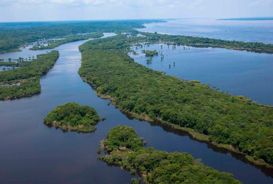 LA AMAZONÍA ES LA INFRAESTRUCTURA ESTRATÉGICA MÁS IMPORTANTE DEL PERÚ – RCR Peru