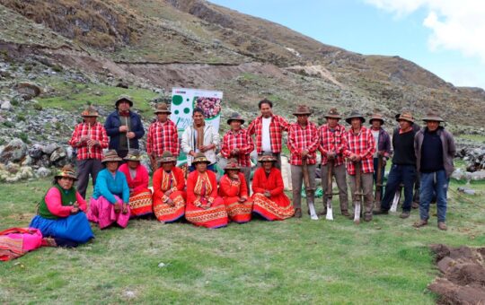 INIA INSTALA MATERIAL GENÉTICO PARA CONSERVAR CALIDAD DE PAPA NATIVA EN ZONA DE AGROBIODIVERSIDAD PAYMAKIS – RCR Peru