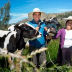 CAJAMARCA, PRIMER PRODUCTOR DE LECHE DEL PERÚ, DUPLICA SU RENDIMIENTO LÁCTEO GRACIAS A LA INNOVACIÓN Y CAPACITACIÓN DE NEWMONT FONCREAGRO – RCR Peru