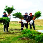 NEWMONT FONCREAGRO TRABAJA CON PROGRAMA BOSQUES PRODUCTIVOS SOSTENIBLES (BPS) PARA PROMOVER MERCADO FORESTAL EN CAJAMARCA – RCR Peru