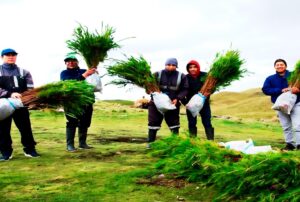 NEWMONT FONCREAGRO TRABAJA CON PROGRAMA BOSQUES PRODUCTIVOS SOSTENIBLES (BPS) PARA PROMOVER MERCADO FORESTAL EN CAJAMARCA – RCR Peru