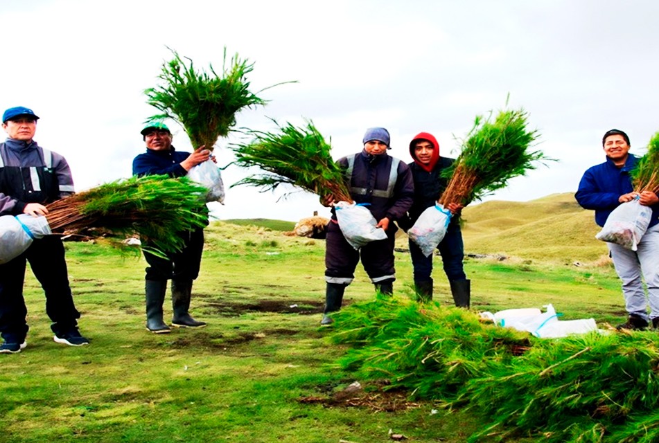 NEWMONT FONCREAGRO TRABAJA CON PROGRAMA BOSQUES PRODUCTIVOS SOSTENIBLES (BPS) PARA PROMOVER MERCADO FORESTAL EN CAJAMARCA – RCR Peru