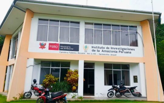 IIAP CELEBRA 44 AÑOS DE INVESTIGACIÓN CIENTÍFICA IMPULSANDO EL DESARROLLO SOSTENIBLE DE LA AMAZONÍA PERUANA – RCR Peru