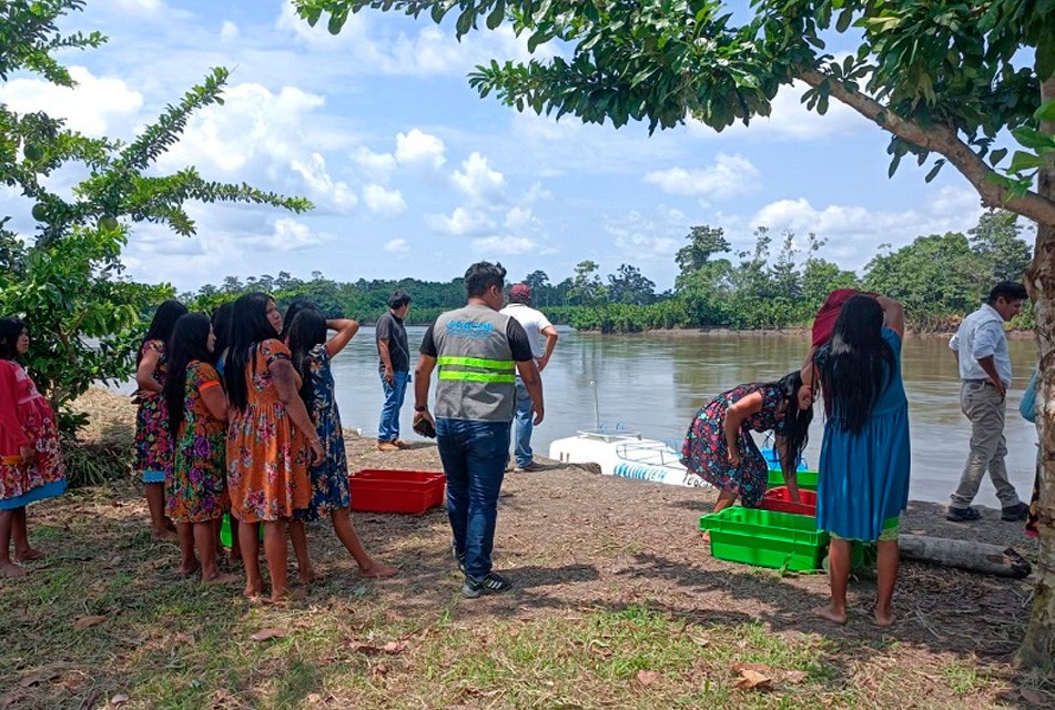 COMUNIDADES NATIVAS PIDEN DECLARATORIA DE EMERGENCIA SANITARIA POR AUMENTO DE MUERTES POR TOS FERINA – RCR Peru