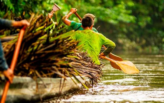 PROPONEN CREAR ZONA ESPECIAL DE DESARROLLO BIOINDUSTRIAL PARA IMPULSAR LA AMAZONÍA PERUANA – RCR Peru