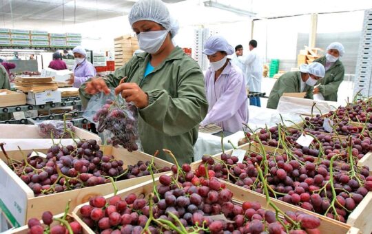 LA ECONOMÍA DE PIURA CERRARÁ EL 2025 CON UN CRECIMIENTO PROYECTADO DE HASTA UN 4% – RCR Peru