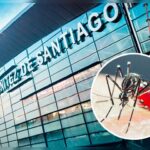 Chile refuerza alerta sanitaria por presencia de mosquito transmisor del dengue en aeropuerto