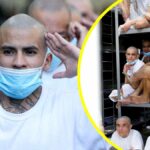 Así viven los presos en la cárcel de Bukele: Duermen en planchas de fierro, tienen un solo baño y están 23 horas en sus celdas