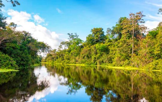 AMAZONÍA PERUANA DEBE SER EJE ESTRATÉGICO DEL DESARROLLO NACIONAL Y NO SOLO UN DISCURSO AMBIENTAL – RCR Peru