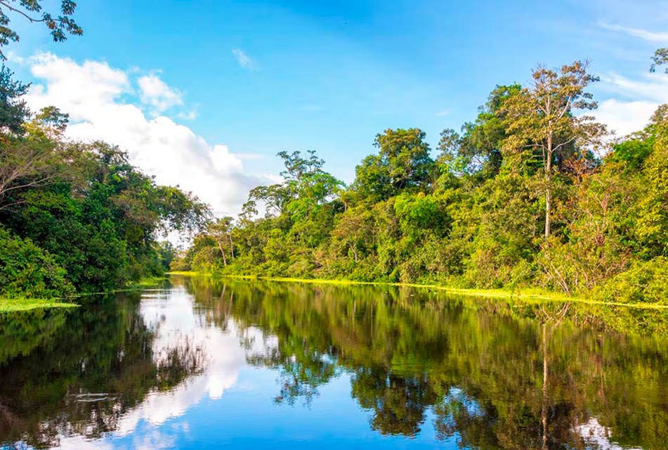 AMAZONÍA PERUANA DEBE SER EJE ESTRATÉGICO DEL DESARROLLO NACIONAL Y NO SOLO UN DISCURSO AMBIENTAL – RCR Peru