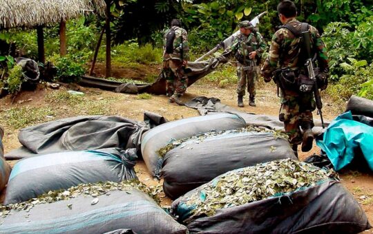 LA NARCOTIZACIÓN DE LA CULTURA AMAZÓNICA SOCAVA LA LEGITIMIDAD DEL ESTADO EN LA AMAZONÍA – RCR Peru