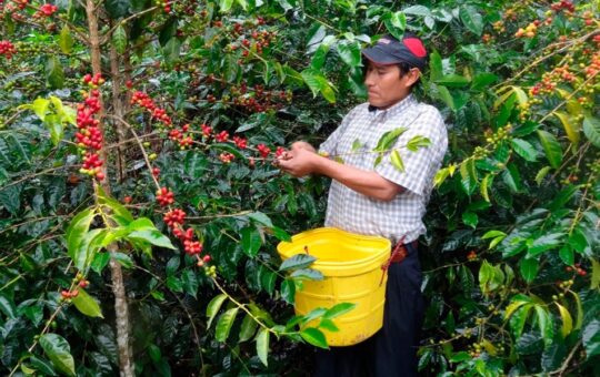 ESPECIALISTAS INTERNACIONALES Y GREMIOS ANALIZARÁN TENDENCIAS DE LAS AGROEXPORTACIONES – RCR Peru