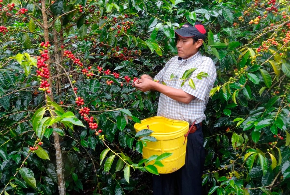 ESPECIALISTAS INTERNACIONALES Y GREMIOS ANALIZARÁN TENDENCIAS DE LAS AGROEXPORTACIONES – RCR Peru