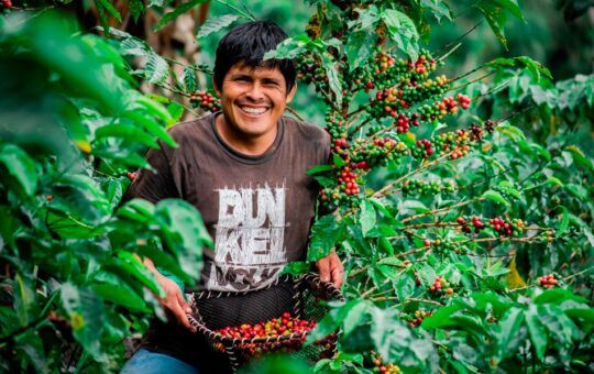 PERÚ EXPORTÓ AL MUNDO CASI US$ 7 MIL MILLONES EN FRUTAS Y HORTALIZAS EN ONCE MESES DE 2025 – RCR Peru