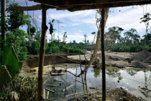 ÁREAS NATURALES PROTEGIDAS EN RIESGO POR DÉBIL PRESENCIA DEL ESTADO Y AVANCE DE ECONOMÍAS ILEGALES – RCR Peru