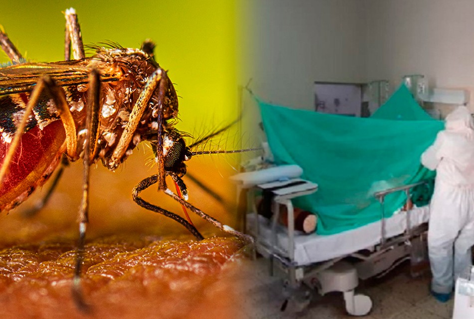 OLA DE CALOR Y DÉFICIT DE AGUA POTABLE INCREMENTAN LOS CASOS DE DENGUE EN PIURA – RCR Peru