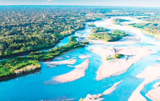 AMAZONÍA PERUANA EN RIESGO POR BIOPIRATERÍA DIGITAL Y APROPIACIÓN DE RECURSOS GENÉTICOS – RCR Peru