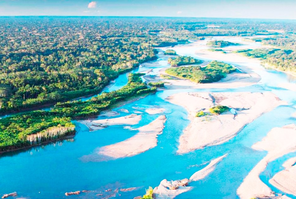 AMAZONÍA PERUANA EN RIESGO POR BIOPIRATERÍA DIGITAL Y APROPIACIÓN DE RECURSOS GENÉTICOS – RCR Peru