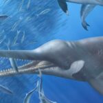 DESCUBREN NUEVA ESPECIE DE SARDINA FÓSIL CLAVE PARA EL FUNCIONAMIENTO DEL ECOSISTEMA DE HUMBOLDT DEL PASADO – RCR Peru