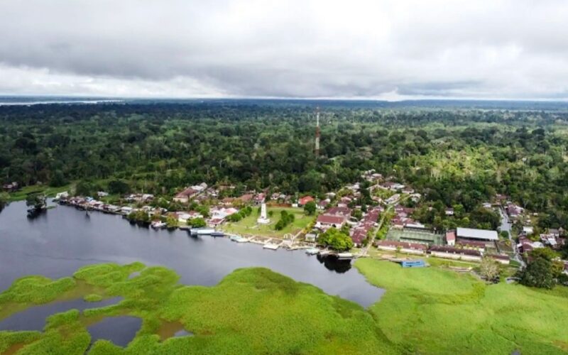 EL PERÚ NECESITA IMPULSAR UN GRAN PLAN AMAZÓNICO AL 2050, SOSTIENE EL ECOLOGISTA DAVID LANDA – RCR Peru