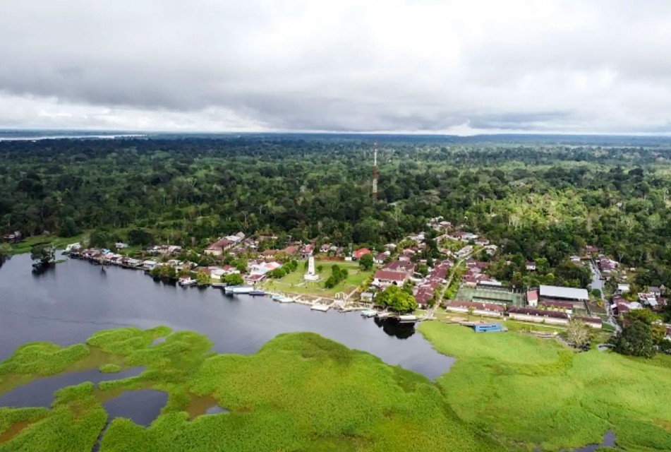 EL PERÚ NECESITA IMPULSAR UN GRAN PLAN AMAZÓNICO AL 2050, SOSTIENE EL ECOLOGISTA DAVID LANDA – RCR Peru