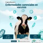 BUENAVENTURA ORGANIZARÁ CAPACITACIÓN SOBRE ENFERMEDADES CARENCIALES EN VACUNOS PARA LOS PRODUCTORES DE OYÓN – RCR Peru