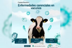 BUENAVENTURA ORGANIZARÁ CAPACITACIÓN SOBRE ENFERMEDADES CARENCIALES EN VACUNOS PARA LOS PRODUCTORES DE OYÓN – RCR Peru