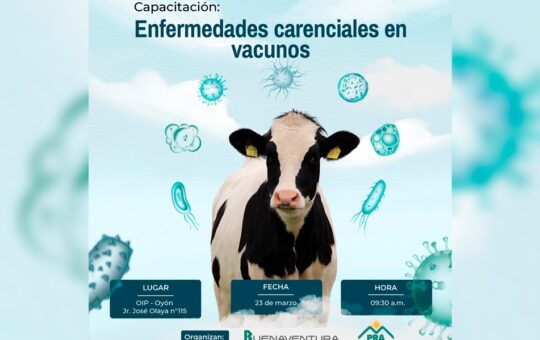 BUENAVENTURA ORGANIZARÁ CAPACITACIÓN SOBRE ENFERMEDADES CARENCIALES EN VACUNOS PARA LOS PRODUCTORES DE OYÓN – RCR Peru