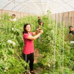 SE INICIA SECIGRA AGRARIO 2026 CON 67 ESTUDIANTES Y EGRESADOS DE CIENCIAS AGRARIAS – RCR Peru