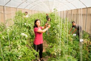 SE INICIA SECIGRA AGRARIO 2026 CON 67 ESTUDIANTES Y EGRESADOS DE CIENCIAS AGRARIAS – RCR Peru