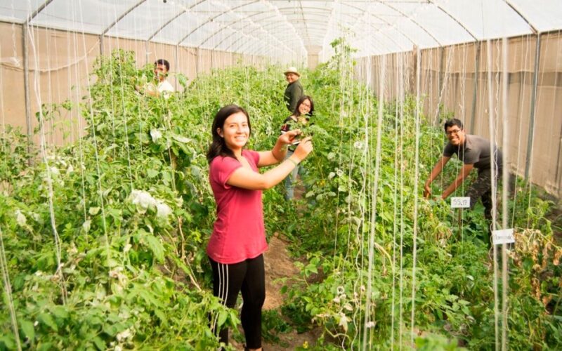 SE INICIA SECIGRA AGRARIO 2026 CON 67 ESTUDIANTES Y EGRESADOS DE CIENCIAS AGRARIAS – RCR Peru