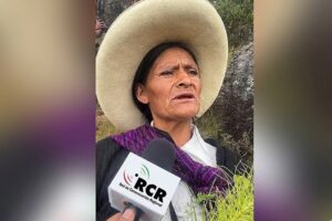 ALIANZA ENTRE COMUNEROS Y EMPRESA PRIVADA REFORESTA EL CORAZÓN DE CAJAMARCA – RCR Peru