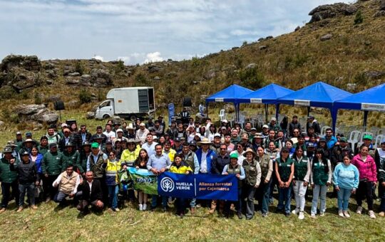 BAÑOS DEL INCA SE PROYECTA COMO LA NUEVA POTENCIA FORESTAL DE CAJAMARCA – RCR Peru