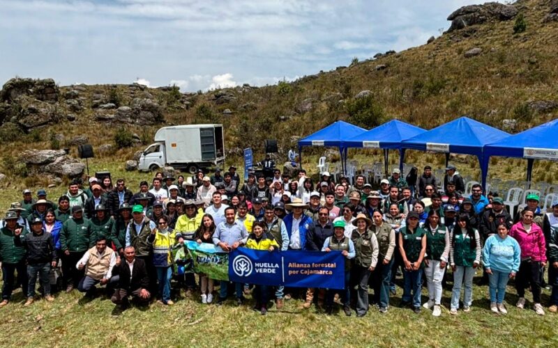 BAÑOS DEL INCA SE PROYECTA COMO LA NUEVA POTENCIA FORESTAL DE CAJAMARCA – RCR Peru