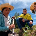 EL PROYECTO QUE BUSCA CONVERTIR LA REFORESTACIÓN EN UN POLO DE DESARROLLO ECONÓMICO PARA CAJAMARCA – RCR Peru