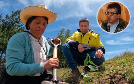 EL PROYECTO QUE BUSCA CONVERTIR LA REFORESTACIÓN EN UN POLO DE DESARROLLO ECONÓMICO PARA CAJAMARCA – RCR Peru