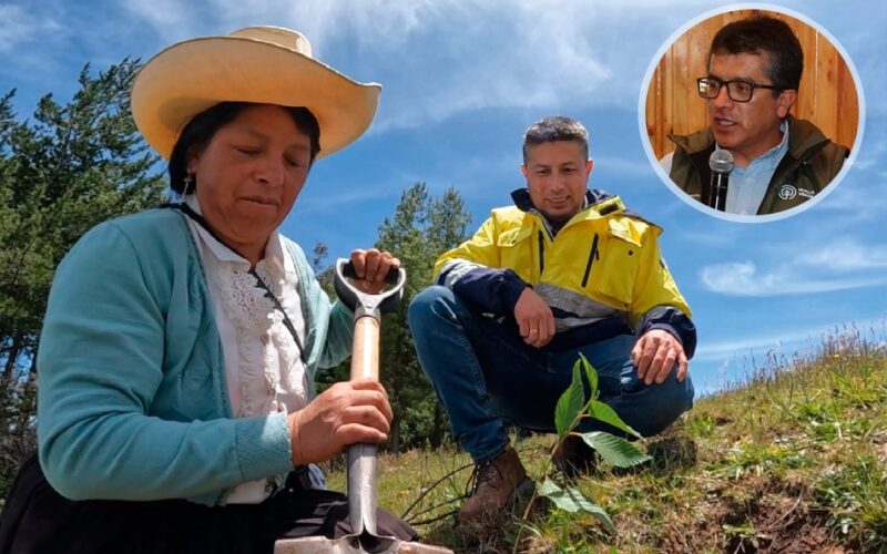 EL PROYECTO QUE BUSCA CONVERTIR LA REFORESTACIÓN EN UN POLO DE DESARROLLO ECONÓMICO PARA CAJAMARCA – RCR Peru