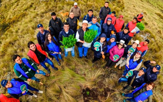 CAJAMARCA BUSCA LIDERAR LA COMPETITIVIDAD FORESTAL CON LA META DE PLANTAR UN MILLÓN DE ÁRBOLES MÁS AL 2027 – RCR Peru