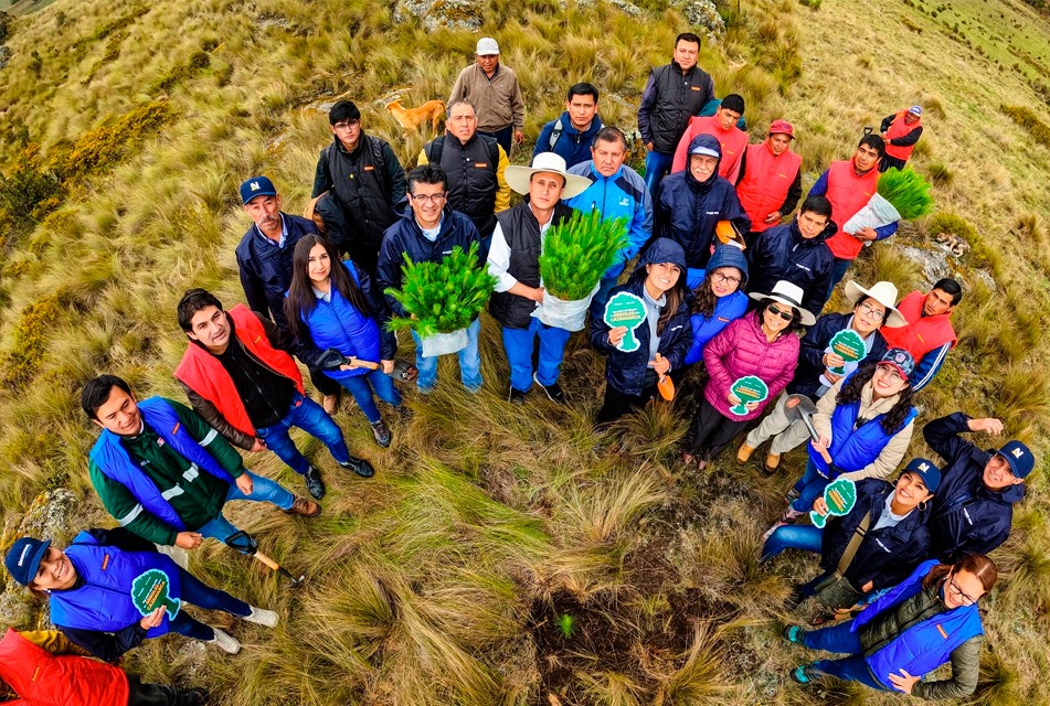 CAJAMARCA BUSCA LIDERAR LA COMPETITIVIDAD FORESTAL CON LA META DE PLANTAR UN MILLÓN DE ÁRBOLES MÁS AL 2027 – RCR Peru