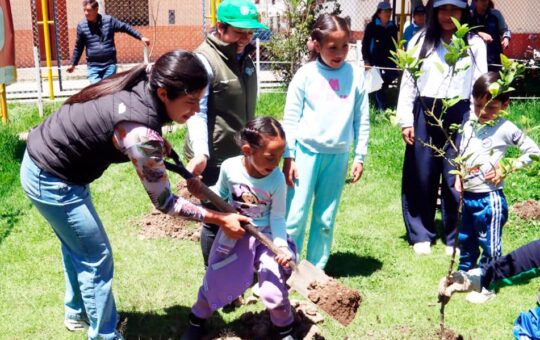 SE RECUPERARON 32 HECTÁREAS DE ÁREAS VERDES DENTRO DE LA CIUDAD – RCR Peru