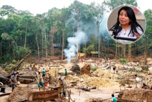 ALIANZA PARA EL PROGRESO COMBATIRÁ LA MINERÍA ILEGAL PARA FRENAR LA DELINCUENCIA, DICE CANDIDATA – RCR Peru