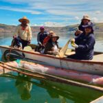 ALT INICIA RECUPERACIÓN DE LA CALIDAD DEL AGUA DEL LAGO TITICACA CON RAÍCES DE TOTORA – RCR Peru