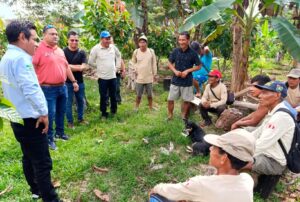 MIDAGRI FORTALECE PRODUCCIÓN DE CACAO CON INVERSIÓN DE MÁS DE S/10 MILLONES Y CENTROS ACOPIO EN ZONA DE FRONTERA EN LORETO – RCR Peru