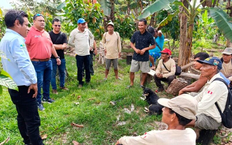 MIDAGRI FORTALECE PRODUCCIÓN DE CACAO CON INVERSIÓN DE MÁS DE S/10 MILLONES Y CENTROS ACOPIO EN ZONA DE FRONTERA EN LORETO – RCR Peru