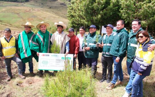 CHAQUIL LIDERA EL INICIO DE LA CAMPAÑA «BOSQUES PRODUCTIVOS» EN CAJAMARCA – RCR Peru