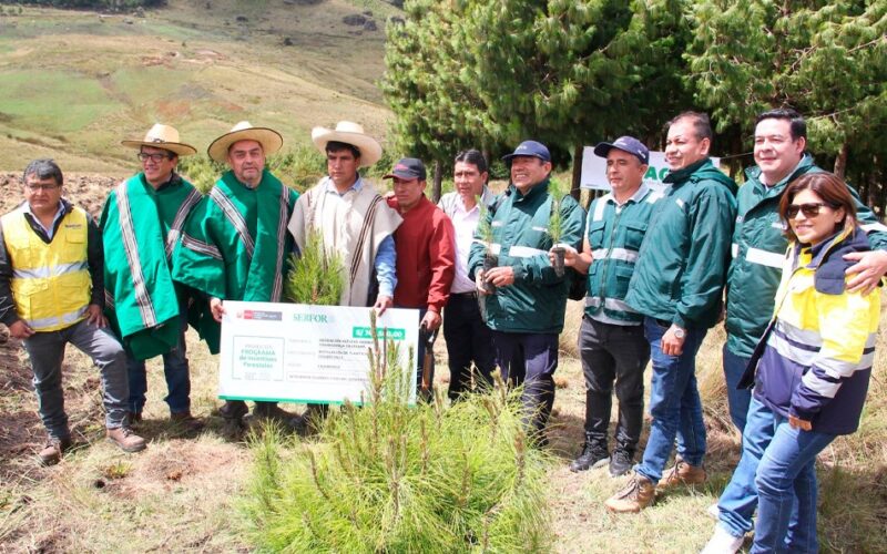 CHAQUIL LIDERA EL INICIO DE LA CAMPAÑA «BOSQUES PRODUCTIVOS» EN CAJAMARCA – RCR Peru