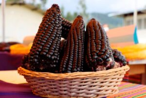 CAJAMARCA CONSOLIDA SU LIDERAZGO ECONÓMICO CON EL IV FESTIVAL DEL MAÍZ MORADO – RCR Peru