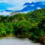 UNIVERSIDAD TECNOLÓGICA ALTO MAYO FORMARÁ PROFESIONALES PARA TRANSFORMAR LA AMAZONÍA Y REDUCIR LA DEFORESTACIÓN, AFIRMA ECOLOGISTA DAVID LANDA – RCR Peru