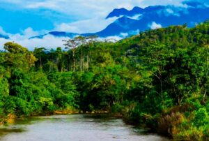 UNIVERSIDAD TECNOLÓGICA ALTO MAYO FORMARÁ PROFESIONALES PARA TRANSFORMAR LA AMAZONÍA Y REDUCIR LA DEFORESTACIÓN, AFIRMA ECOLOGISTA DAVID LANDA – RCR Peru
