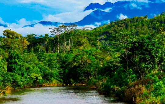 UNIVERSIDAD TECNOLÓGICA ALTO MAYO FORMARÁ PROFESIONALES PARA TRANSFORMAR LA AMAZONÍA Y REDUCIR LA DEFORESTACIÓN, AFIRMA ECOLOGISTA DAVID LANDA – RCR Peru